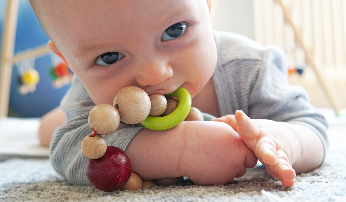 What Does A Baby See Wooden Toys Selecta